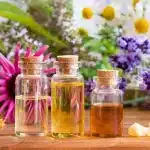 Essential Oil Manufacturers in Bangalore