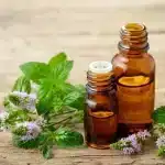 Essential Oil Manufacturers in Gujarat